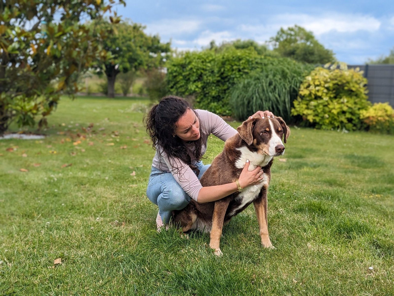 Céline Perel, ostéopathe animalier, pendant une séance avec un chien